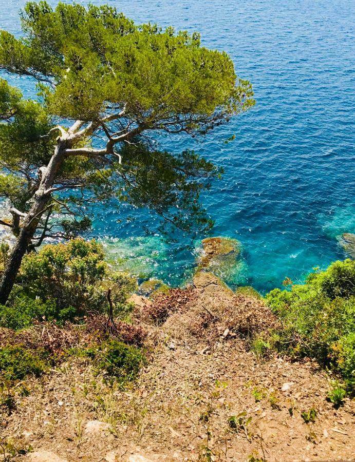 Mazet « Domaine De La Pinede » Appartement Le Lavandou Buitenkant foto